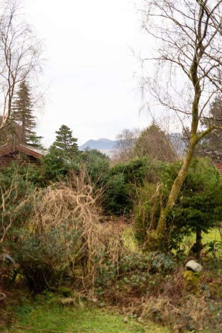 Cozy Norwegian Style Log Cabin In Rural Snowdonia - 2 Bedrooms & Parking By Seren Short Stays Ffestiniog Zewnętrze zdjęcie